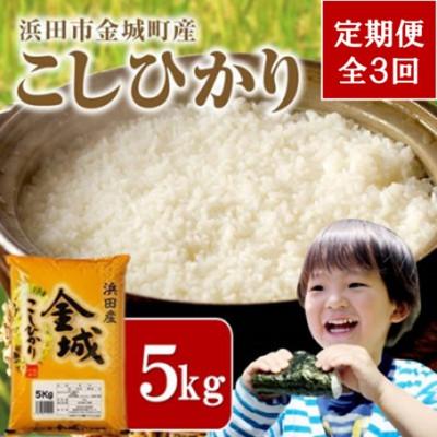 ふるさと納税 浜田市 【毎月定期便】浜田市金城町産こしひかり　5kg全3回