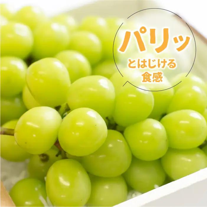 【2026年発送★先行予約】【順次発送】 産地厳選シャインマスカット1.2kg～1.3kg（2房～3房）※沖縄・離島配送不可※ 106-003-sku03-26y｜シャインマスカット 発送 笛吹市 山