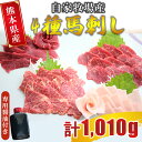 【ふるさと納税】 自家牧場産 馬刺し 4種 食べ比べセット（ 赤身 上赤身 極上霜降り たてがみ ）計1010g 専用醤油付き | 熊本県 熊本 くまもと 和水町 なごみ 食べ比べ 馬肉