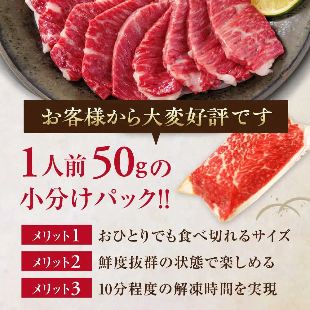 【全6回定期便】国産 霜降り馬刺し2種セット 約500g 馬刺し[AYBP007]