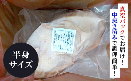 クリスマスにおすすめ！【京都府産 京丹波あじわいどり】丸鶏の半身 調理しやすい半身サイズ 約1kg レシピ付き / ふるさと納税 鶏肉 鳥肉 とり肉 丸鶏 半身 冷凍 国産 京都府 福知山市