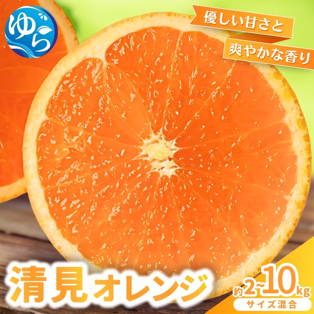 【ふるさと納税】 清見 オレンジ / みかん きよみ 柑橘 晩柑 和歌山 由良町 農家直送 / 2kg 5kg 10kg (サイズ混合） ※2026年3月上旬～順次発送