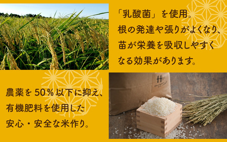 【白米】【令和5年産】《定期便6回》にこまる 5kg（計30kg）＜食味値85点以上！低農薬栽培＞ ／ 高品質 鮮度抜群 福井県 あわら産 ブランド米 白米 お米 米《出荷直前精米でお届け！》