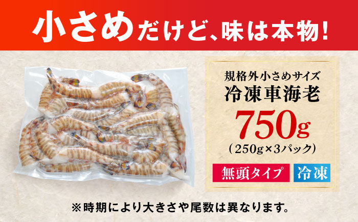 【訳あり】無頭冷凍車海老（加熱用）750g (250gx3P) 五島市／拓水 五島事業場 [PCU009]