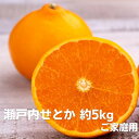 【ふるさと納税】数量限定 瀬戸内せとか 約5kg【ご家庭用】　 みかん フルーツ 果物 柑橘類 5kg 　お届け：2025年2月上旬～3月中旬