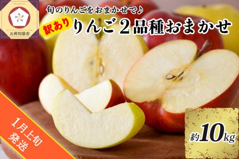 【2024年1月上旬発送】 【訳あり】 旬の美味しい りんご 約10kg 青森産 【おまかせ2品種】