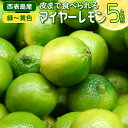 【ふるさと納税】まとめてお得 果汁たっぷり マイヤーレモン（島レモン）約5kg 【 果物類 柑橘類 丸い 果皮 薄い 酸味 まろやか 香り 果汁 貴重 皮ごと 薄く サラダ はちみつ 】 お届け：2024年8月1日～2024年12月25日