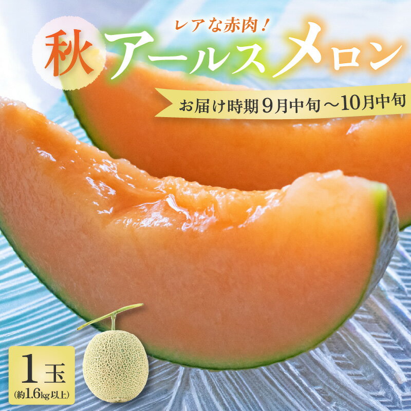 【ふるさと納税】【先行予約】【赤肉】秋 アールスメロン 1玉（約1.6kg以上）青肉品種 高級メロン！ ／ マスクメロン 大玉 果物 フルーツ ギフト 農家直送 ※2025年9月中旬以降発送