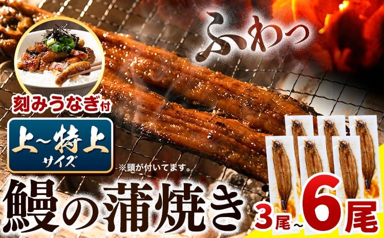 
                  うなぎ 国産 鰻の蒲焼 3尾～6尾＋ きざみうなぎ付 上～特上サイズ《30日以内に出荷)》| うなぎ 蒲焼 国産 うなぎ 小分け うなぎ 国産 うなぎ ギフト うなぎ 簡易包装 送料無料 徳島県 上板町
                
