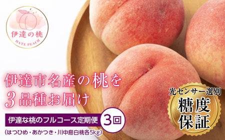 2025年度分 伊達な桃のフルコース はつひめ あかつき 川中島白桃 各5kg 福島県伊達市産 桃 フルーツ 果物  F20C-287