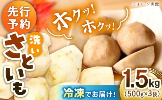 【冷凍】【9月下旬より順次発送】 冷凍 洗い里芋 1.5kg（500g×3袋） 野菜 里芋料理 さといも煮 さといも 国産野菜 里芋料理 愛媛県大洲市/沢井青果有限会社 [AGBN039]野菜 里芋料理 さといも煮 さといも 国産野菜