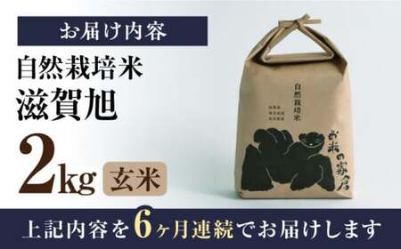【令和6年度産】【全6回定期便】自然栽培米滋賀旭 　2kg玄米×6回　滋賀県長浜市/株式会社お米の家倉[AQCP045]