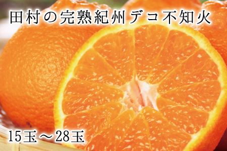 高級ブランド田村の完熟紀州デコ(不知火)　※2026年2月下旬頃～3月中旬頃に順次発送予定(お届け日指定不可) 【uot731】