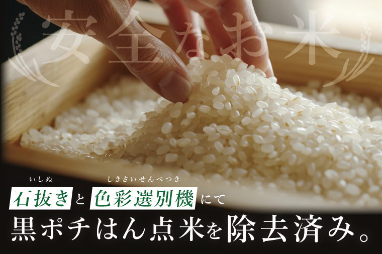 【2ヶ月定期便】茨城県産にじのきらめき　精米　5kg｜精米 定期便 お米 米 こめ コメ ごはん 白米 阿見町 茨城県 茨城県産 茨城県産米 安心 安全 送料無料 国産 人気 数量限定 高評価（85-