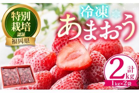 ＜予約受付中！2025年1月より順次発送予定＞冷凍あまおう(計2kg・1kg×2袋) いちご イチゴ 苺 あまおう 冷凍いちご 冷凍イチゴ 国産 福岡県 特別栽培 果物 フルーツ アイス シャーベット ジャム スムージー＜離島配送不可＞【ksg0438】【うるう農園】