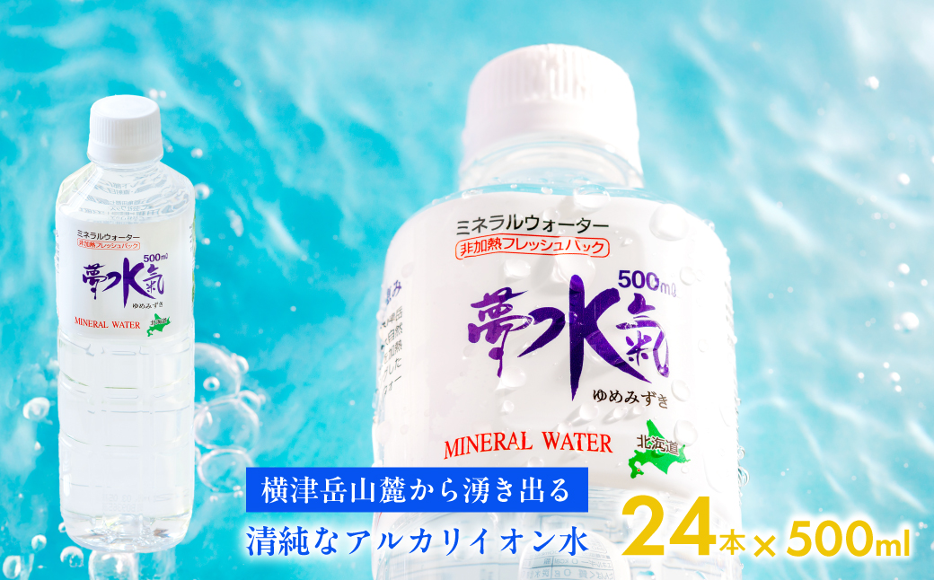 ミネラルウォーター夢水氣（500ml×24本） 天然アルカリイオン水 軟水  【 ふるさと納税 人気 おすすめ ランキング 天然アルカリイオン水 天然水 ミネラルウォーター 横津岳山麓 北海道 七飯町 送料無料 】 NAL001