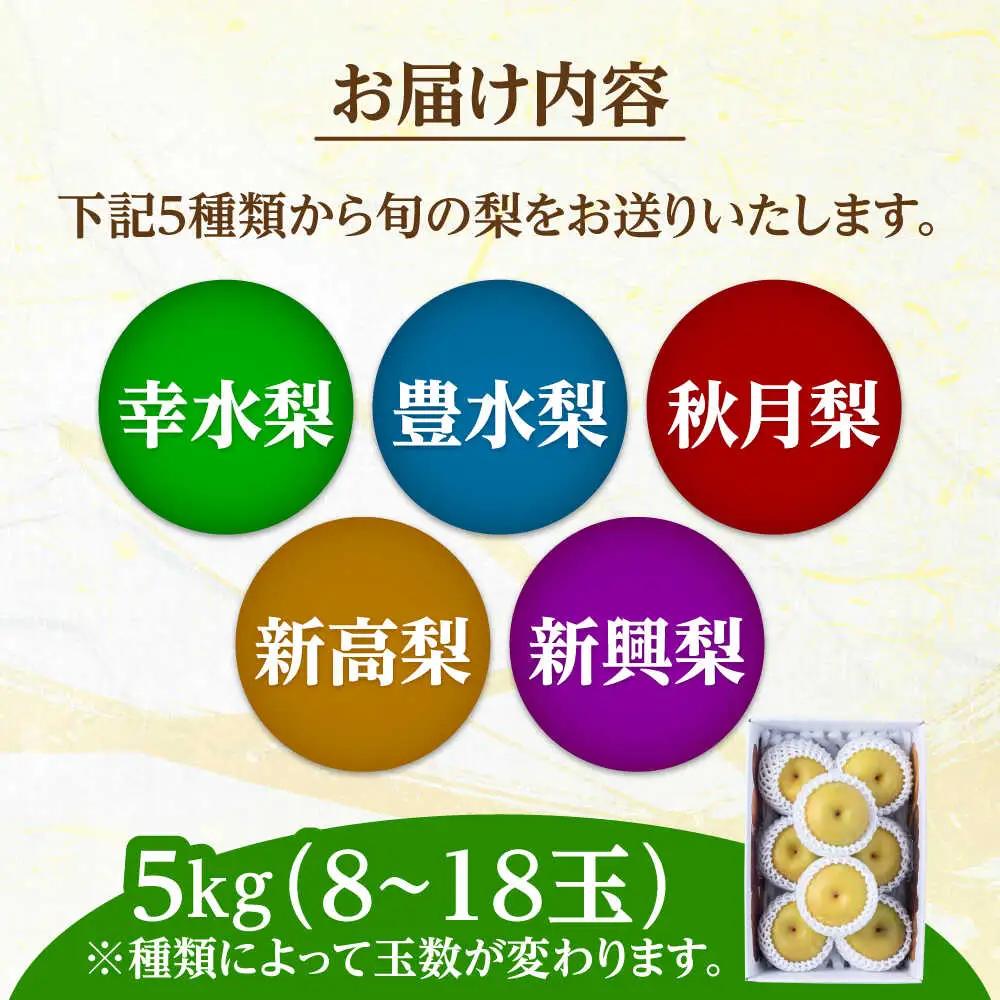 日田梨 約5kg 旬の梨 果物 [ARET008]