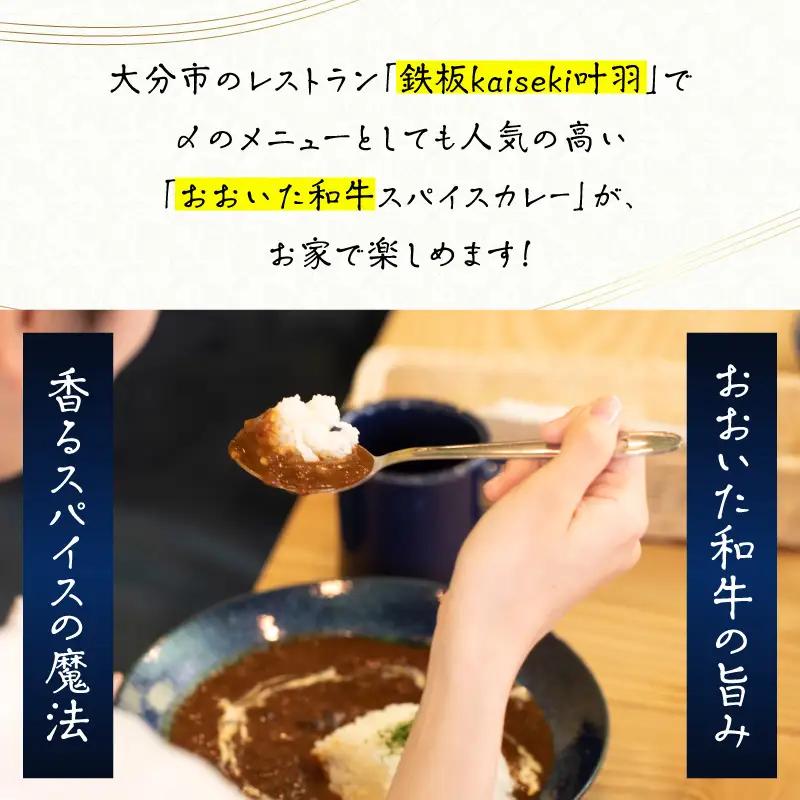 おおいた和牛 スパイスカレー 3袋 K03038