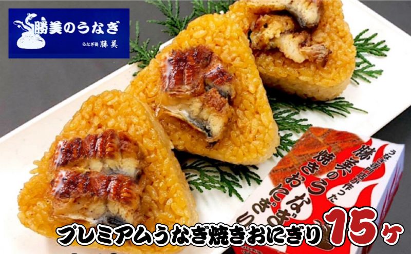 【ギフト】プレミアムうなぎ焼きおにぎり 100g×15ヶ入