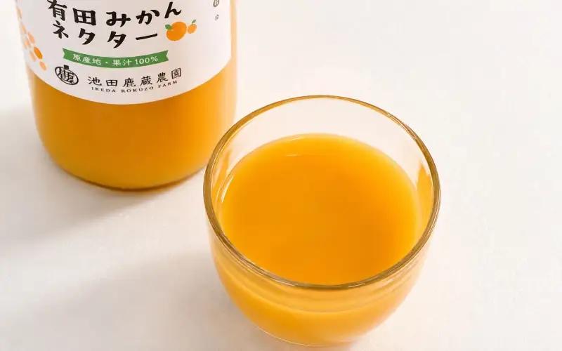 みかん ネクター 100％ ジュース / 温州みかん 有田みかん 果汁 無添加 柑橘 和歌山 14000円 720ml ※北海道・沖縄・離島への配送不可 //drink 【ikd100-to720-4