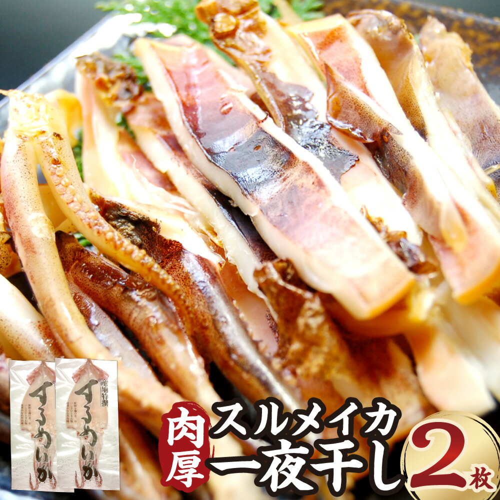 【ふるさと納税】肉厚スルメイカ 一夜干し 大2枚（450～550g程度） 個包装 山陰 名産 昔ながらの甘塩するめ スルメイカ するめいか 干物 イカ 魚介類 水産物 おつまみ つまみ お酒のお供 冷凍 兵庫県産 国産 兵庫県 新温泉町 送料無料