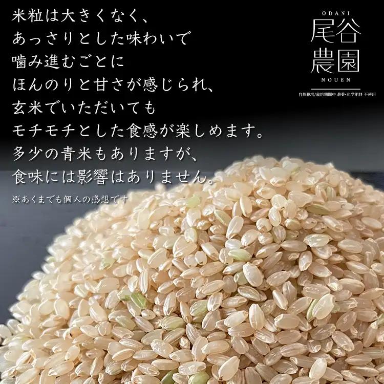 【早期予約】【6ヶ月定期便】【令和8年度産米】尾谷農園 自然栽培米コシヒカリ 玄米10kg ※2026年10月～発送