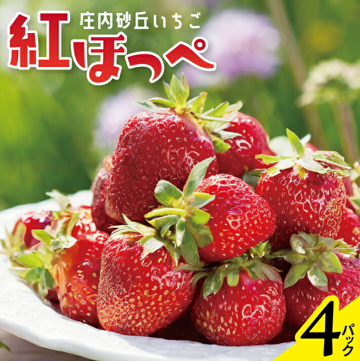 【ふるさと納税】苺 紅ほっぺ 約270g×4パック 山形県酒田産 4月下旬～5月中旬頃お届け 冷蔵便 ※着日指定・離島発送不可 いちご 苺 イチゴ strawberry 東北 山形県 酒田市 春 旬 フルーツ