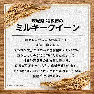 ふるさと納税 稲敷市 【令和6年産】ミルキークイーンのふるさと『稲敷市』からふっくらもっちりミルキークイーン10kg |  | 02