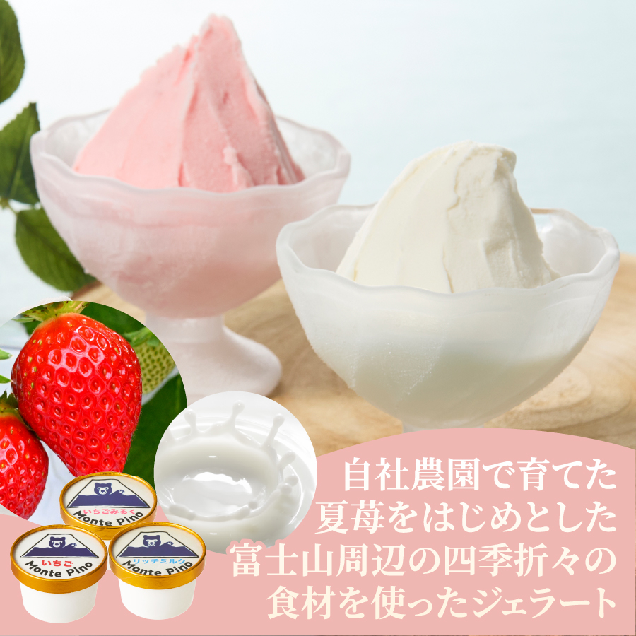 富士山まるごとジェラート　ミルク特別セット