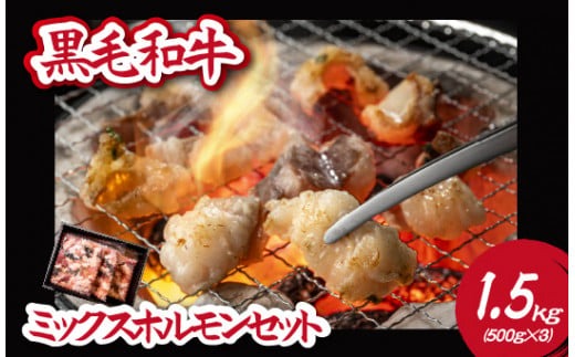 【自社農場和牛】黒毛和牛ミックスホルモン 1.5㎏（国産 黒毛和牛 牛肉 ホルモン 焼肉 BBQ 冷凍 送料無料）