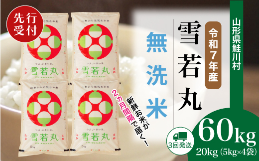 ＜令和7年産米先行受付＞ 令和8年4月下旬より配送開始 雪若丸【無洗米】60kg定期便(20kg×3回)　鮭川村
