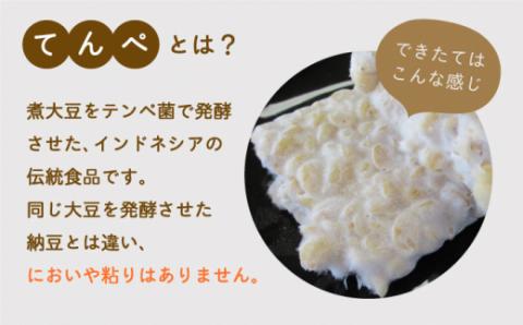 【身体にやさしい発酵食品！】テンペ詰め合わせ（テンペ150g×3袋/テンペ味噌800g×1袋）【しろいし特産物直売所】 [IAI005]