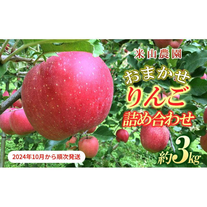 りんご 米山農園のおまかせりんご詰め合わせ約3kg 2024年10月から順次発送 紅玉 秋映え シナノスイート シナノゴールド 王林 さんふじ セット 長野県 長野市