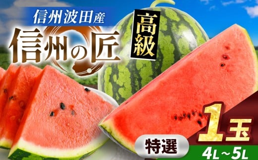 【先行予約】信州波田産 高級スイカ！信州の匠 【特選】 4L～5Lサイズ 1玉｜ふるさと納税 長野県 信州 松本 果物 フルーツ すいか スイカ 西瓜 新鮮 大きい 特別 贈答 季節限定 甘い くだもの ふるーつ
