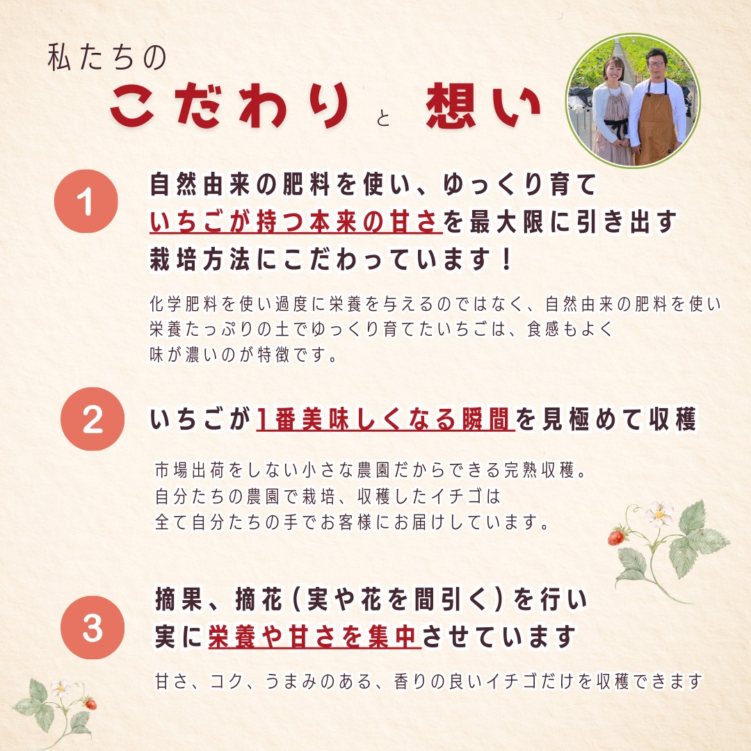 いちご狩り ペアご招待券 期間2026年3月末頃~2026年5月末日頃(いちご狩りシーズン期間内) BJ04