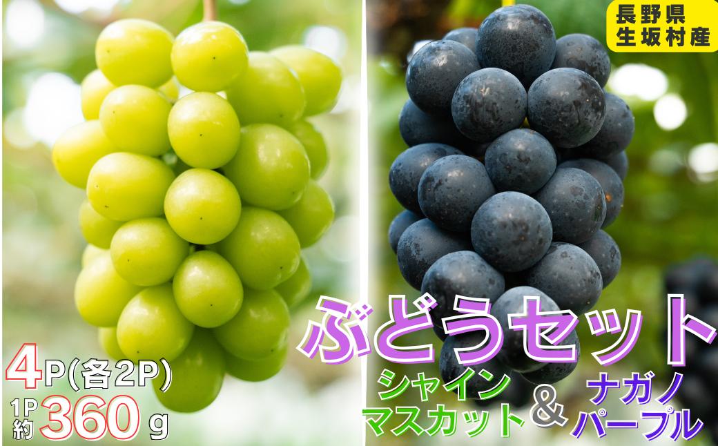 
                  シャインマスカット＆ナガノパープル　4パック（360g×4パック)
                
