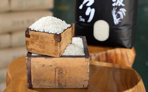 【12カ月定期便】 京丹波こしひかり きぬひかり 食べ比べセット 10kg×12カ月連続 合計120kg 令和7年産 京都 米 精米 コシヒカリ ※北海道・東北・沖縄・その他離島は配送不可 [216M