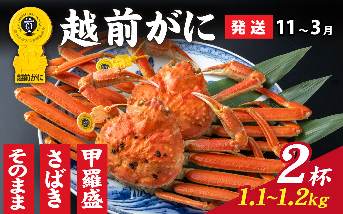 
            【先行予約】選べる！美味しさ直送【成前特選】越前かに（1.1kg～1.2kg）×2杯【11月～3月発送】  [P-028061] / ズワイガニ 甲羅盛り 越前がに かに 蟹 楚蟹 越前かに 香箱がに こうばこがに 親ガニ甲羅蟹 甲羅がに 香箱蟹 姿 捌き 姿 甲羅盛
          