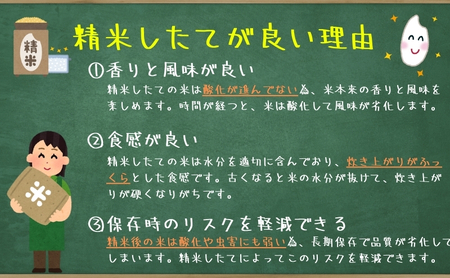 『定期便4ヵ月』銀河のしずく《特A 6年連続獲得中!》【5分づき精米・ビタミン強化米入り】5kg 令和6年産 盛岡市産 ◆発送当日精米・1等米のみを使用したお米マイスター監修の米◆