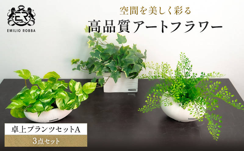 エミリオロバ　卓上プランツ3点セットA