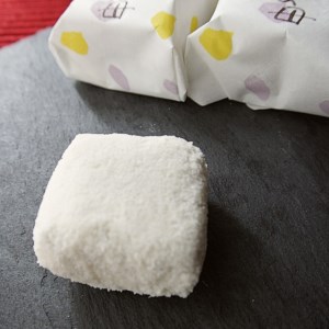 舞鶴銘菓 岸壁の母 16個 箱入り 京都 和菓子