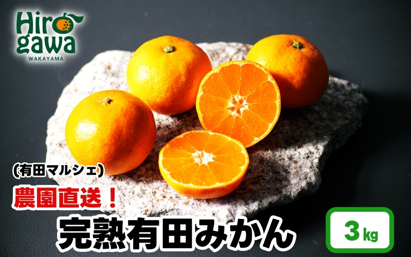 
            農園直送！ 完熟有田みかん 3kg+200g(傷み補償分) ＜11月発送予定＞ 秀・優混み SSサイズ～Lサイズ混合 ※北海道・沖縄・離島への配送不可 / 和歌山 有田みかん ミカン オレンジ 甘い フルーツ 果物 産地直送 【ard004-noen-3-11A】
          