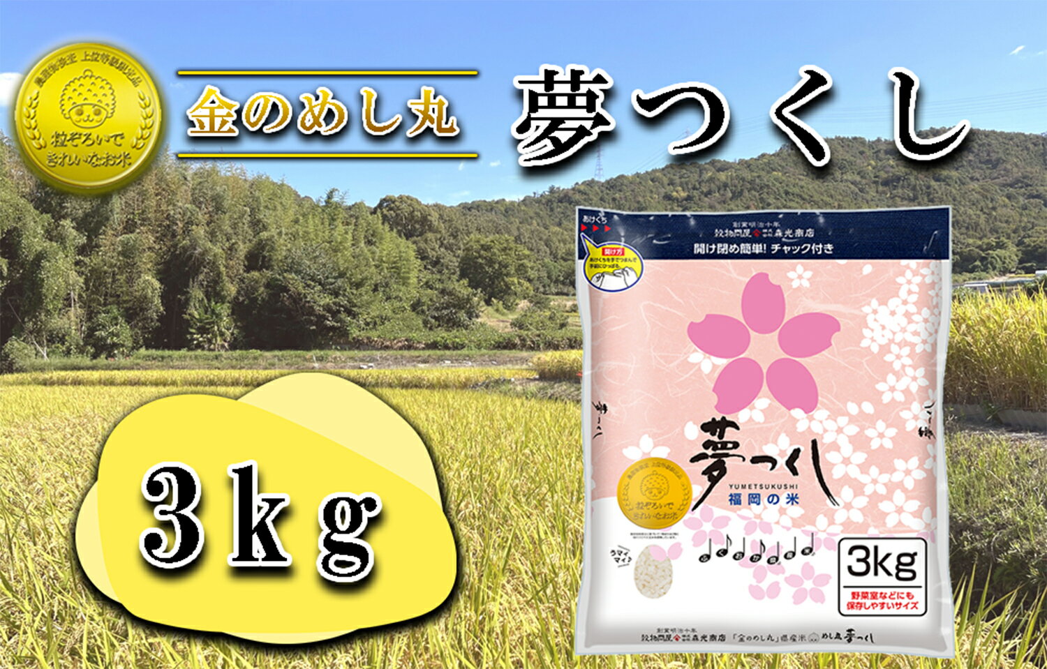 【ふるさと納税】令和7年米　金のめし丸夢つくし 3Kg（1袋）_CE-102