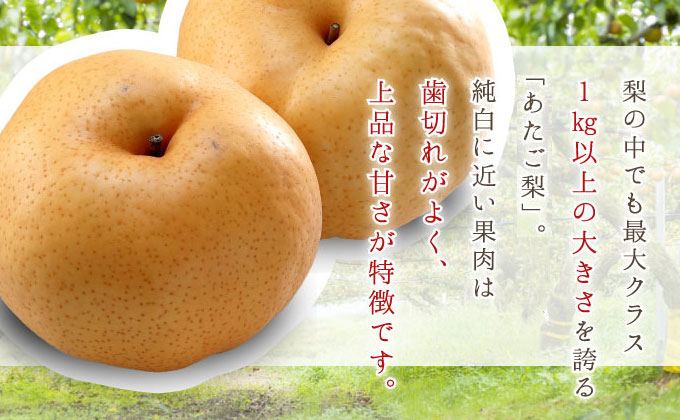 梨 あたご梨 3～6玉 約4kg なし ナシ  岡山県産 国産 フルーツ