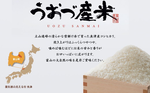 【令和7年度米】【9ヶ月定期便】富山県 うおづ産米「コシヒカリ」15kg（5kg×3袋）（精米）｜9ヶ月定期便 9回 9ヶ月 こしひかり こめ コメ お米 おこめ 白米 精米 雪解け水 香り うまみ あまみ 冷めても 美味しい おにぎり お弁当 高品質 魚津市 ※北海道・沖縄・離島への配送不可