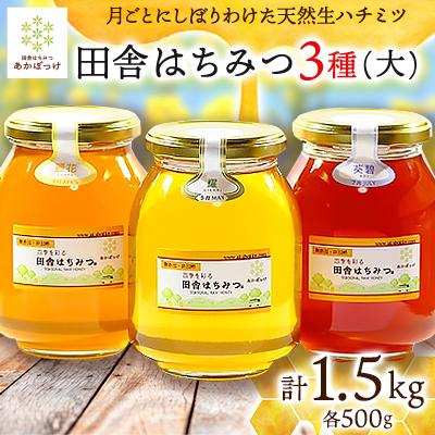 ふるさと納税 五霞町 【生ハチミツ3種(大)】　月ごとに楽しむ田舎はちみつ　無添加非加熱天然蜂蜜セット
