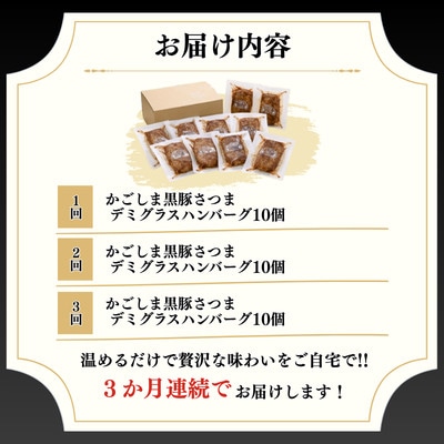 【毎月定期便】「かごしま黒豚さつま」デミグラスハンバーグ10個セット(南九州市)全3回【配送不可地域：離島】