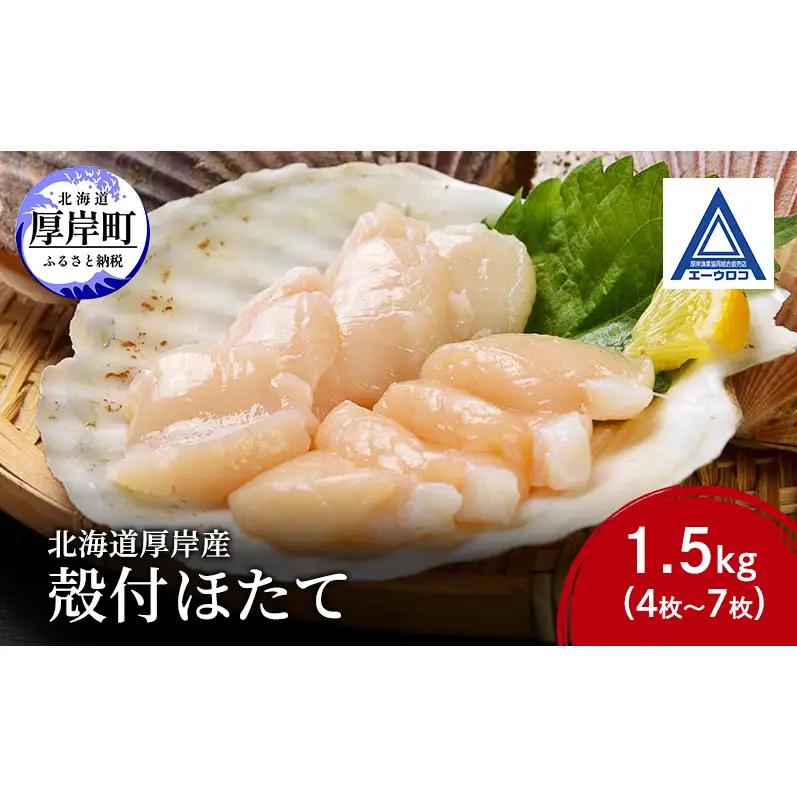 厚岸産 殻付きほたて 1.5kg 4～7枚 ホタテ