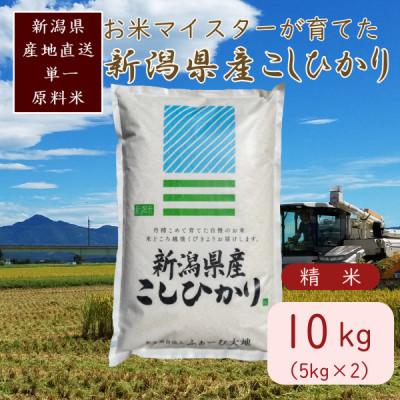 ふるさと納税 上越市 令和7年産 お米マイスターが育てた上越産コシヒカリ10kg(5kg×2)白米　精米