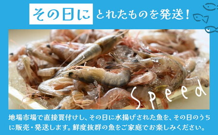 鮮度抜群！お魚おまかせ食べきり６パック・下処理加工してあるので解凍してすぐに調理できます。 ※着日指定不可 ※北海道・沖縄・離島への配送不可◇